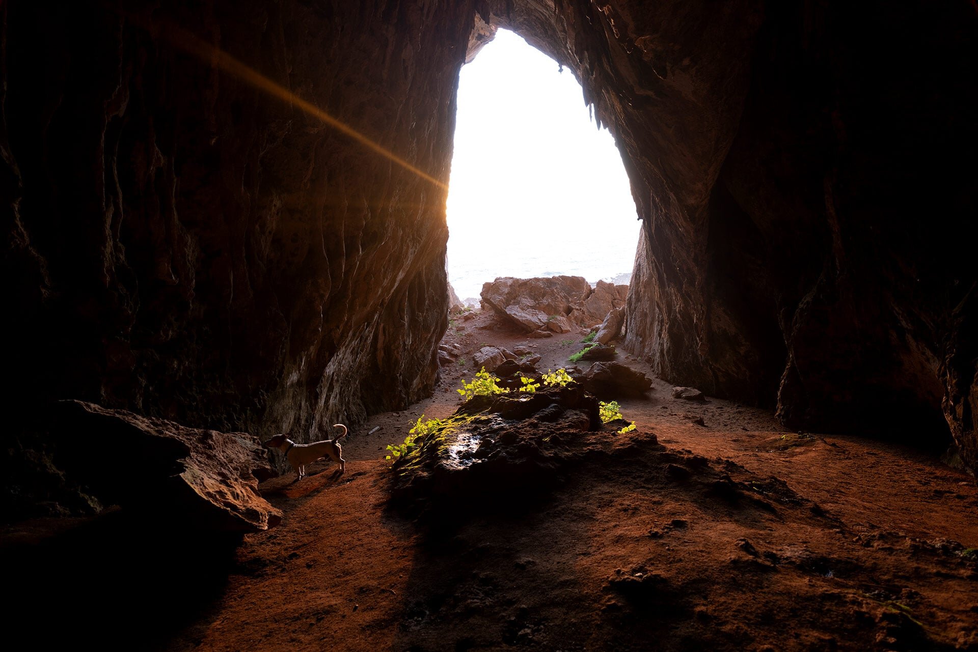 Grotte des chevaux